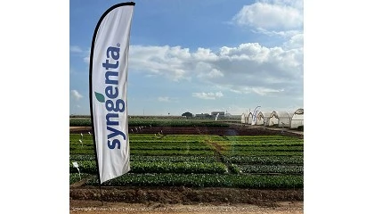 Foto de Syngenta celebra 'Salads 2025' en su nuevo centro de investigacin en Murcia