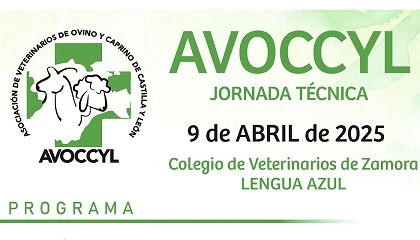 Foto de Avoccyl organiza una jornada tcnica sobre la enfermedad de la lengua azul