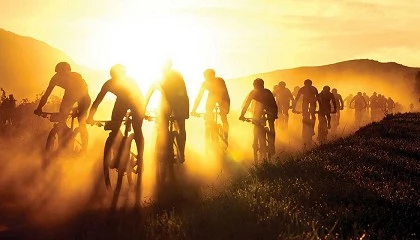 Foto de Qu rodamientos usan los profesionales en la Cape Epic?