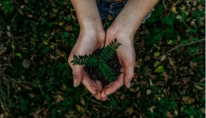 Foto de Reporte de sustentabilidade  adiado por dois anos, mas no deixa a sustentabilidade na gaveta das organizaes