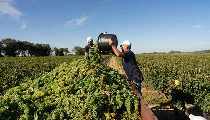 Foto de Quinta da Alorna: investimento em sustentabilidade ultrapassa 300 mil euros em quatro anos
