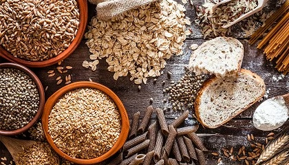 Foto de Seminrio 'Aumento da Produo Sustentvel de Cereais em Portugal: que desafios se nos colocam?'