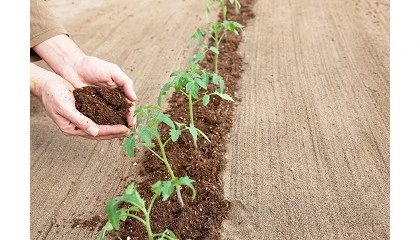 Foto de Gramoflor presenta su nuevo sustrato para hoyos de plantacin