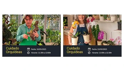 Foto de Flower lleva su programa de talleres 2025 a 60 centros de jardinera en toda Espaa