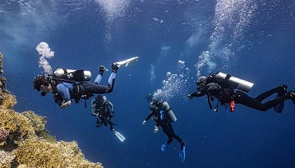 Foto de Scuba Finders cierra su ronda de inversin