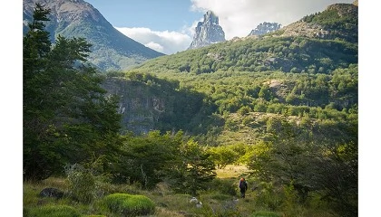 Foto de El sello Titan aterriza en Amrica y ampla su calendario con la Titan Forest Patagonia