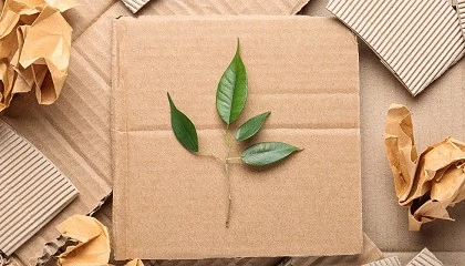 Foto de Los envases de juguetes en la era de la sostenibilidad: Qu quieren realmente los consumidores?
