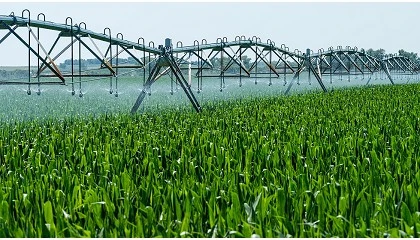 Foto de Transformando el regado espaol: Digitalizacin para la eficiencia y la sostenibilidad (I)