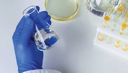 Foto de Porcino, vino, y aceite: los ms beneficiados por la edicin gentica