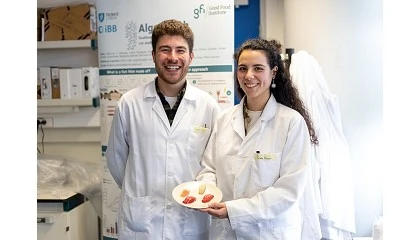 Foto de Investigadores do IST criam filetes de robalo celular atravs de bioimpresso 3D