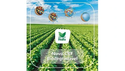 Foto de Haifa Group: 30 milhes de euros em nova fbrica