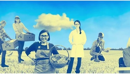 Foto de Abertas candidaturas ao programa EIT Food para mulheres empreendedoras no setor agroalimentar
