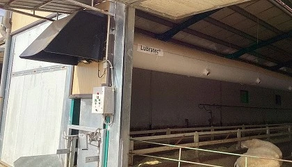 Foto de Resultados de una correcta ventilacin en la produccin lctea del ganado ovino