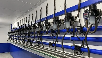 Foto de El apagn elctrico global afect de forma principal a las ganaderas de ordeo