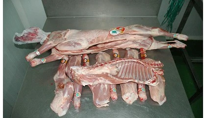 Foto de Mercado Central de Carnes de Madrid - Precios Ovino (Semana 18, 30/4/2025)