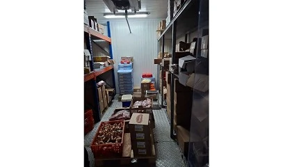 Foto de ASAE apreende 32 Toneladas de produtos alimentares em trs estabelecimentos ilegais