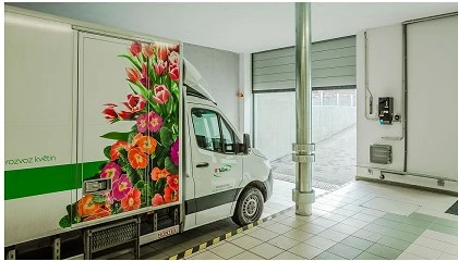 Foto de Puertas de aislamiento óptimo para flores frescas