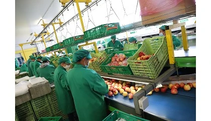 Foto de Beyra DOuro Fresh otimiza processos e refora controlo de produo com Sage X3