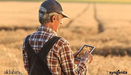 Foto de Syngenta e Al Dahra: juntas na implementao de solues digitais de gesto agrcola em larga escala