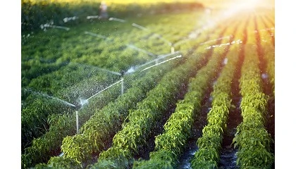 Foto de Transformando el regado espaol: Digitalizacin para la eficiencia y la sostenibilidad (II)