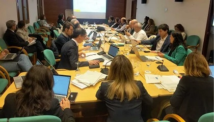 Foto de España estima que la producción de vino alcanzará los 36,8 millones de hectolitros, un 15% más que el año pasado