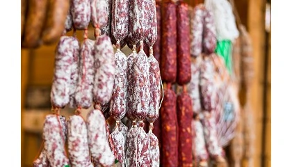 Foto de Innovación y seguridad en la industria cárnica: dos estrategias para elaborar productos más saludables y seguros