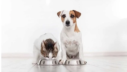 Foto de Nueve beneficios de la alimentacin natural en perros y gatos