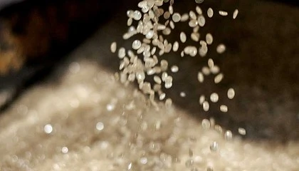 Foto de Ursa bate récords en reciclaje: más de 41.000 toneladas de material recuperado en sus procesos de producción en 2024