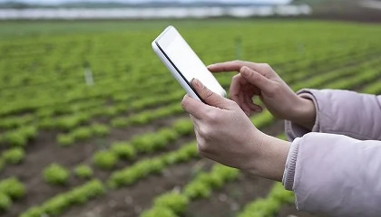 Foto de La juventud agraria cree que la viabilidad va ligada a la innovacin y las nuevas tecnologas