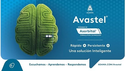 Foto de Avastel, la nueva solución de ADAMA para el control de enfermedades fúngicas en cereal