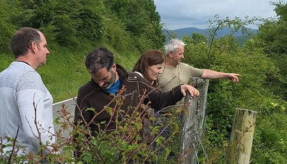 Foto de UAGN alerta a Gobierno de Navarra de los ataques de buitres al ganado ovino