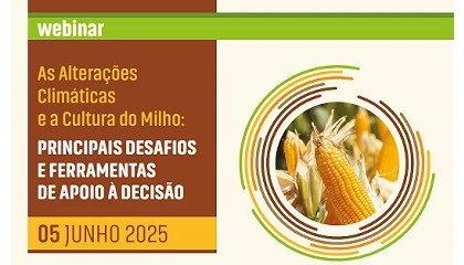 Foto de Seguro de Colheitas para o milho Gro e Silagem para a campanha 2025