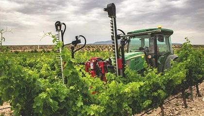 Foto de Poda eficiente, rentvel e com resultados agronmicos visveis