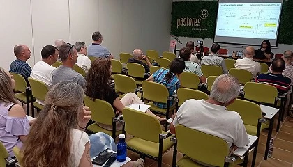 Foto de La prolificidad media de los rebaos de Rasa Aragonesa aumenta un 10% en treinta aos