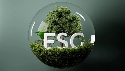 Foto de A economia e os benefcios de a tornar cada vez mais sustentvel