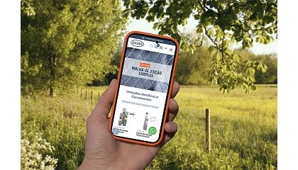Foto de Mallas Galbis torna-se referncia na venda online em Portugal