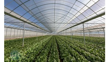 Foto de El PIB del sector agrario en Espaa creci un 8,2% en el primer trimestre de 2025