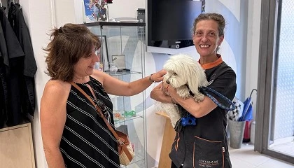 Foto de La recepción en la peluquería canina: donde empieza la magia... y el arte de escuchar