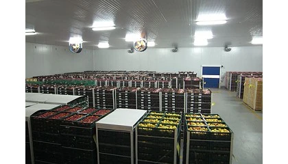 Foto de Espaa aprueba en comercializacin y transporte de frutas y hortalizas