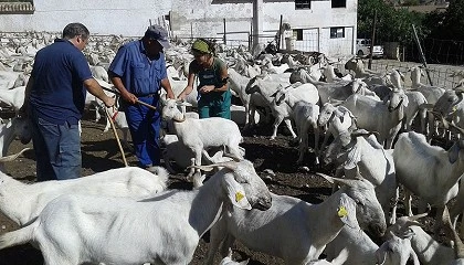 Foto de Ablanse anuncia su desaparicin por la falta de respuesta administrativa y la asfixia econmica