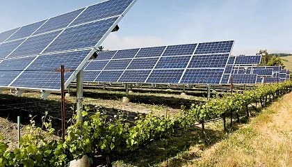 Foto de Intersolar Mexico celebró un seminario sobre la sinergia entre energía solar y producción agrícola sostenible