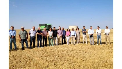 Foto de Castilla y León espera una cosecha de 8,12 Mt, la segunda mayor en 15 años