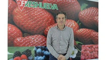 Picture of Entrevista a Rafael Domínguez, gerente de Freshuelva