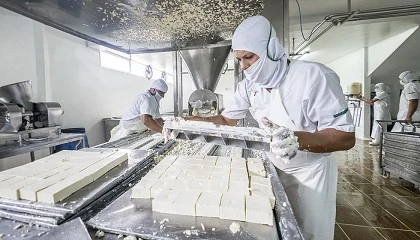 Foto de Suben los precios de la leche de cabra ante la cada de la produccin