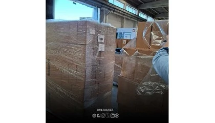 Foto de ASAE apreende mais de 4.800 litros de bebidas e milhares de rtulos