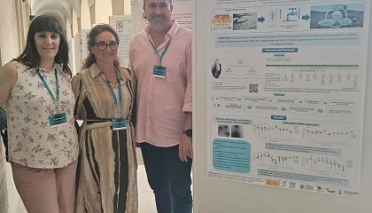 Foto de Proyecto para la seleccin gentica de ovejas con mayor tolerancia al estrs