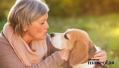 Foto de Seis razones por las que tener un perro es un acierto para la tercera edad
