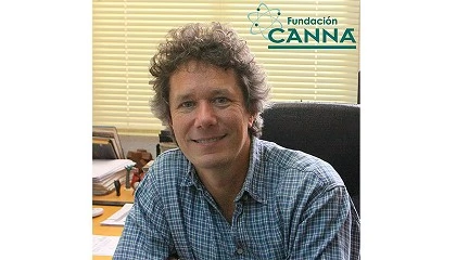 Picture of Cannabinoides: del laboratorio a la clínica