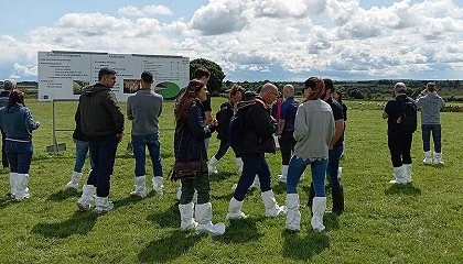 Foto de Las granjas de ovino pueden reducir un 12% la huella de carbono sin comprometer la rentabilidad