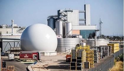 Foto de Ambar reduce su consumo de gas con biogás generado en su propio proceso industrial